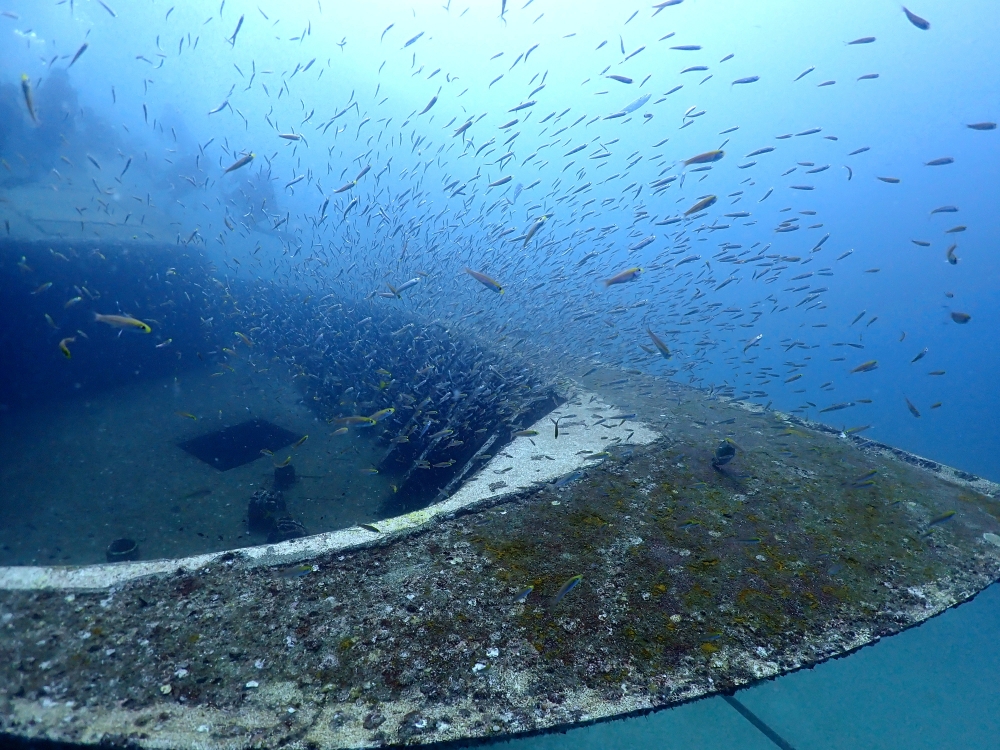 プーケットのラチャ島でダイビング