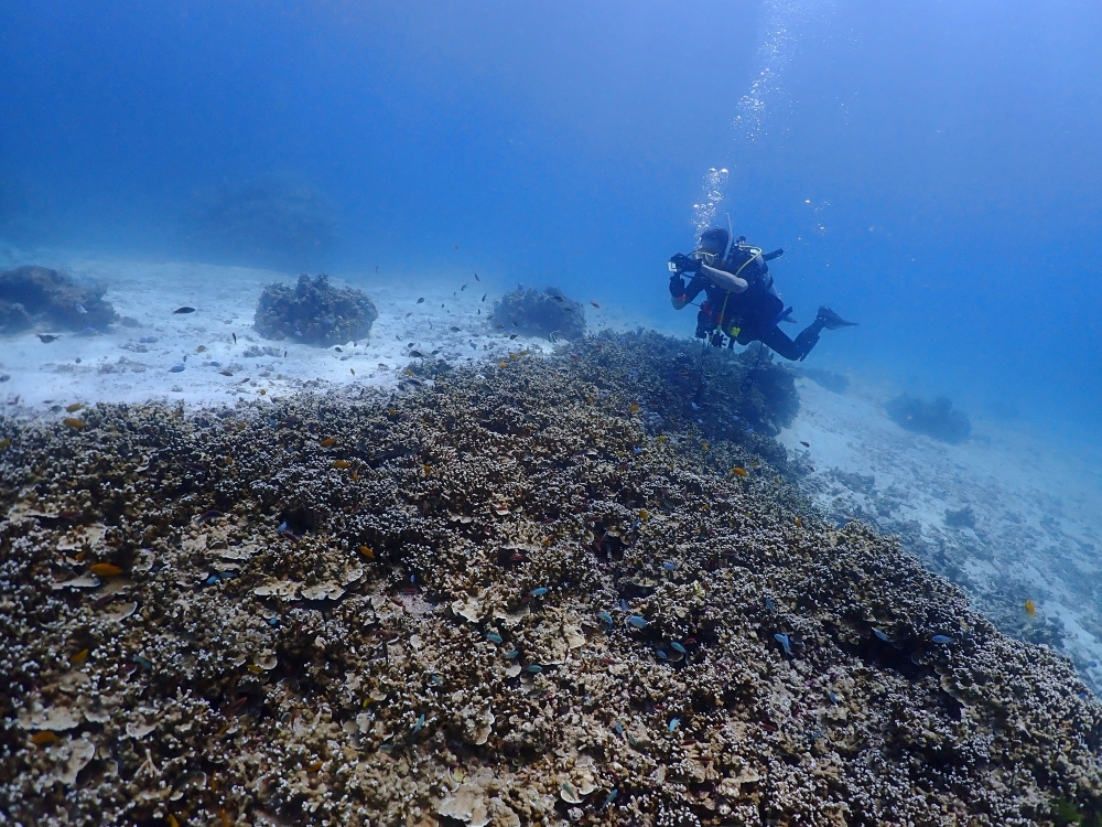 プーケットのラチャ島でダイビング