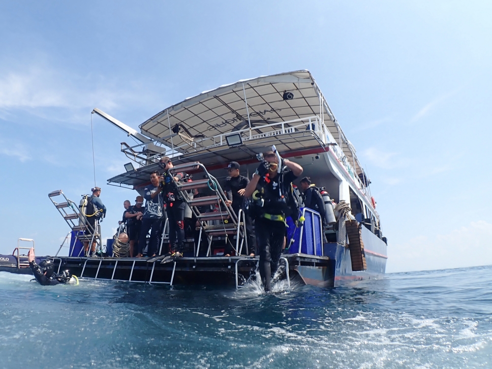 プーケットのマリンパークでダイビング