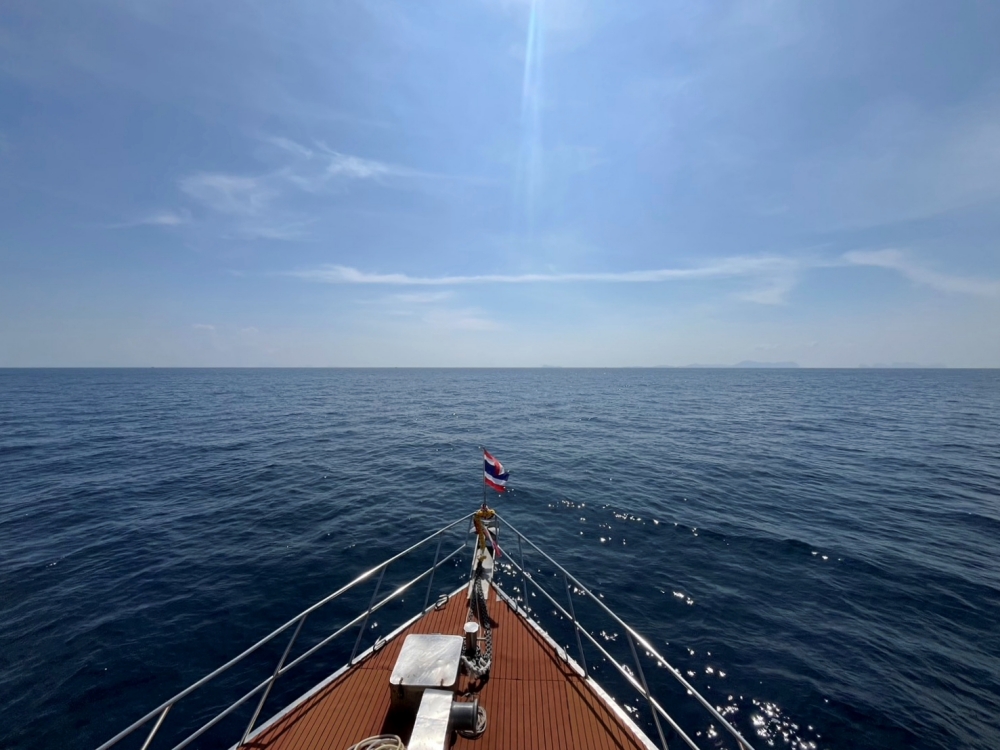 プーケットのマリンパークでダイビング