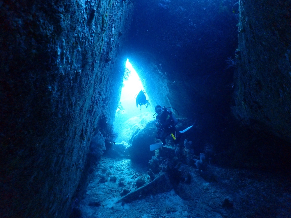 シミランクルーズでダイビング