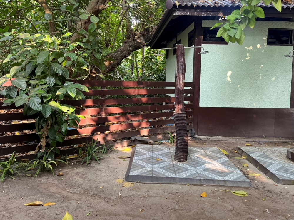 シミランクルーズでダイビング