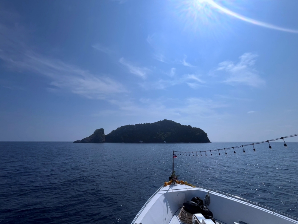 シミランクルーズでダイビング