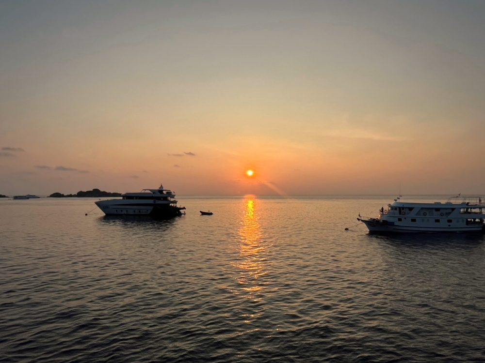 シミランクルーズでダイビング