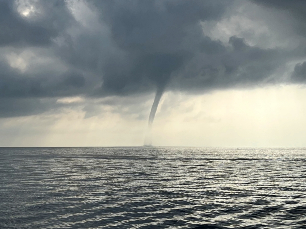 シミランクルーズでダイビング