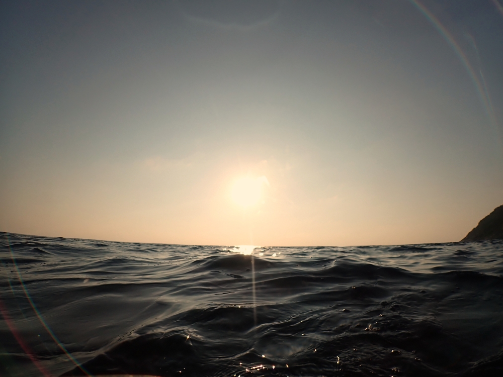 シミランクルーズでダイビング