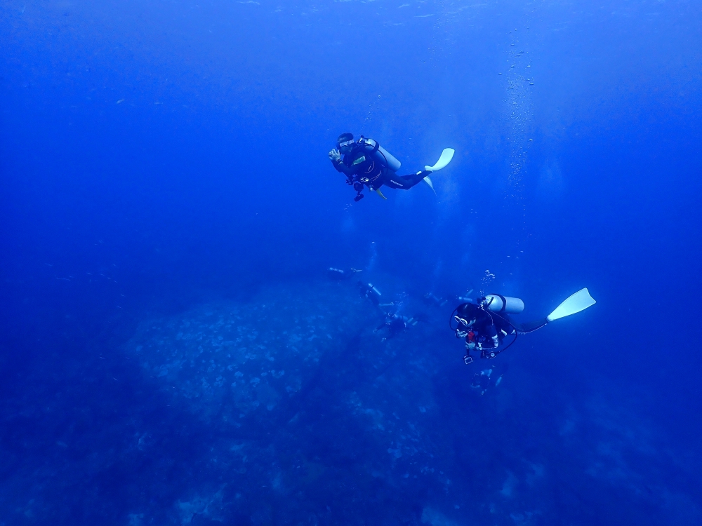 シミランクルーズでダイビング