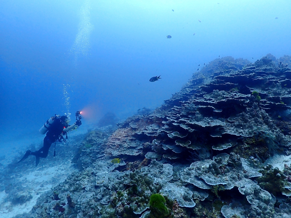プーケットのラチャ島でダイビング