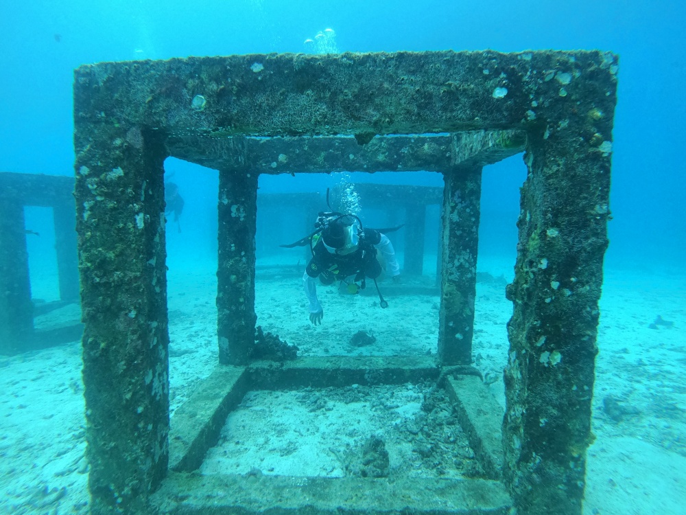 ラチャ島 家族で体験ダイビング　
