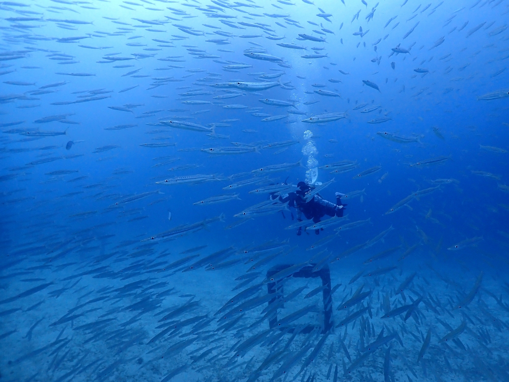 プーケットのラチャ島でダイビング